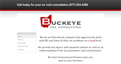 Desktop Screenshot of buckeyetaxconsulting.com